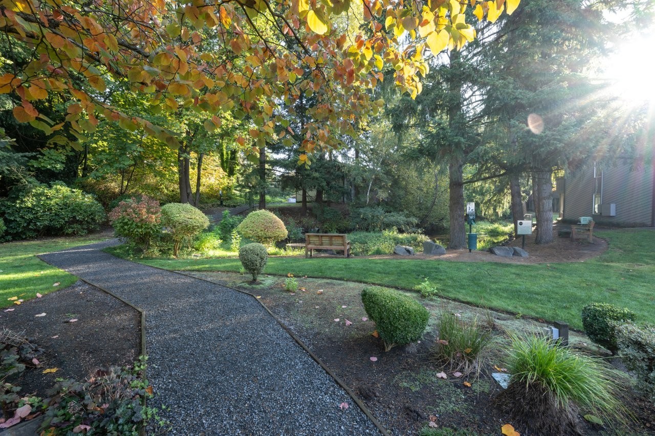Vue Kirkland — image 18